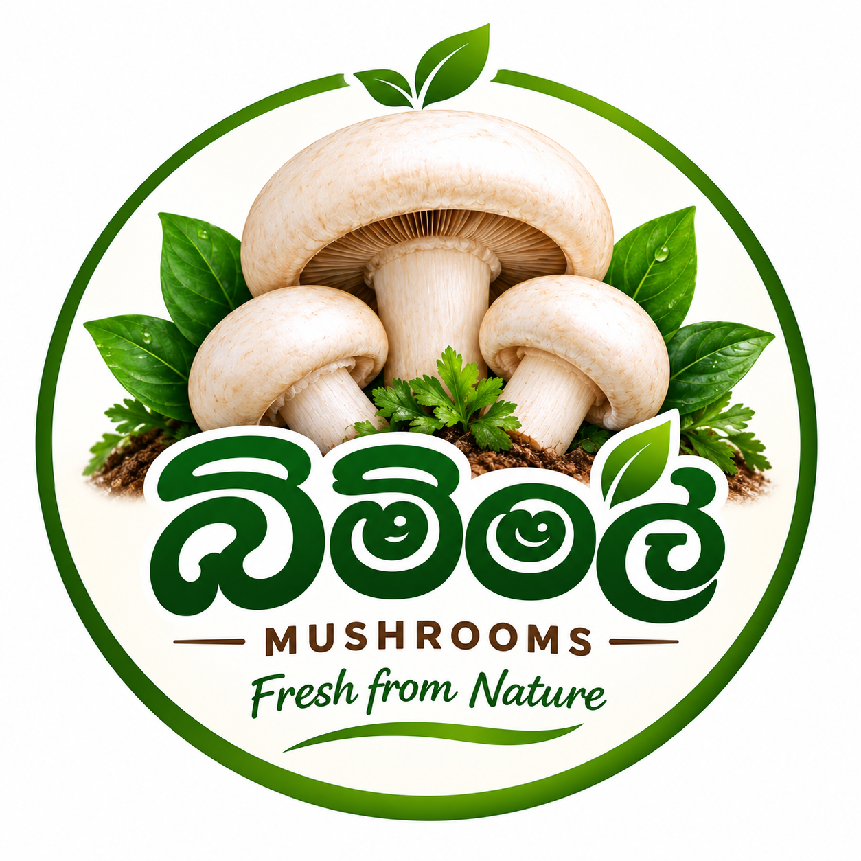 Shop Logo
