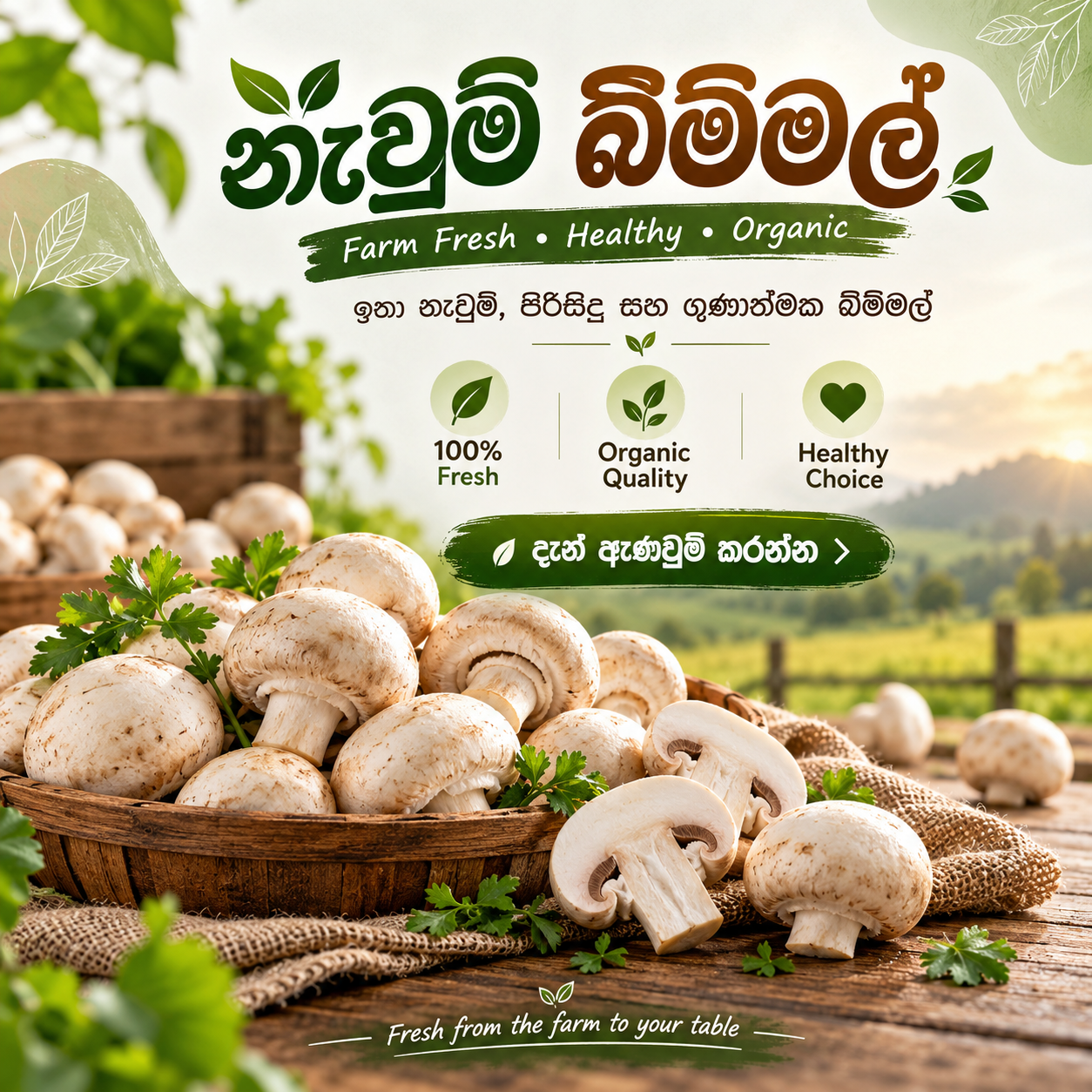 Bimmal 400g