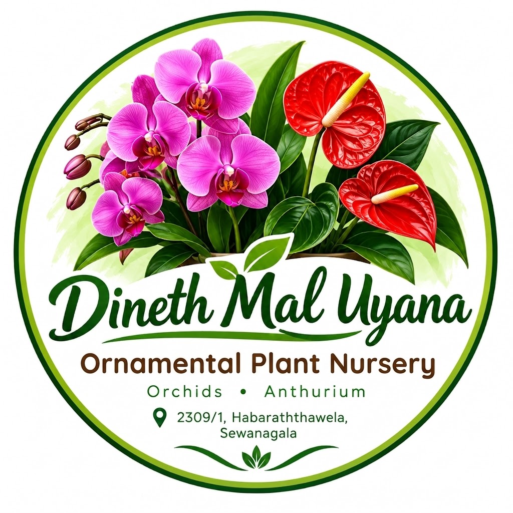 Shop Logo